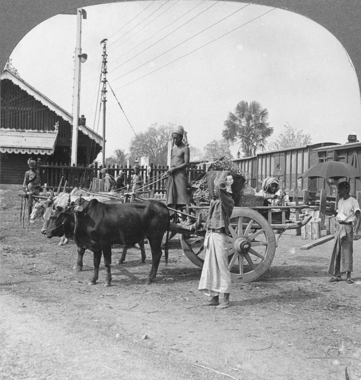 Typické nádraží, Katha, Barma, 1908 od Stereo Travel Co
