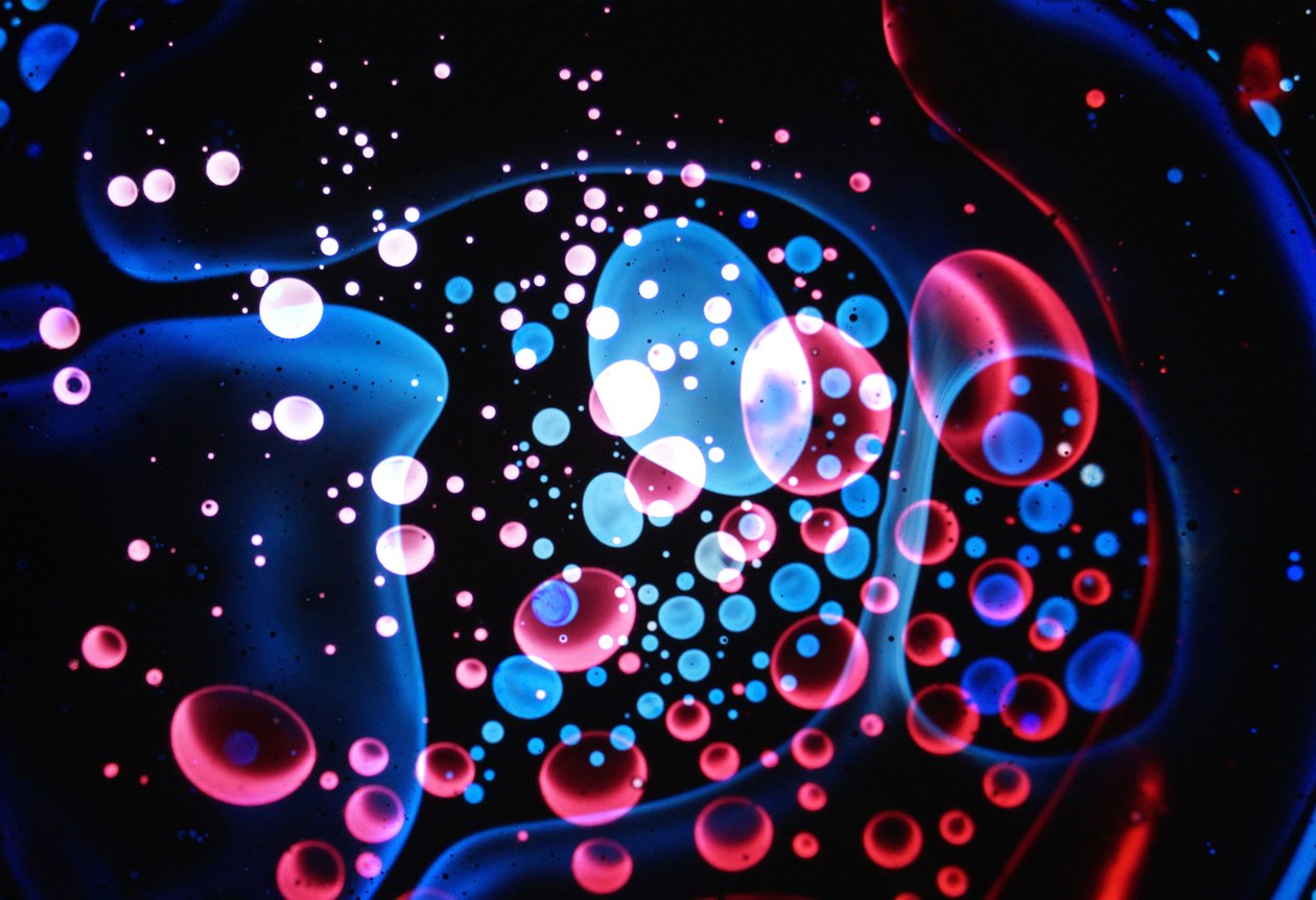 Multiverse #4, 2024 od Steve Pavlovsky