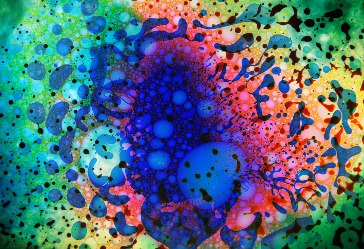 Multiverse #5, 2024 od Steve Pavlovsky