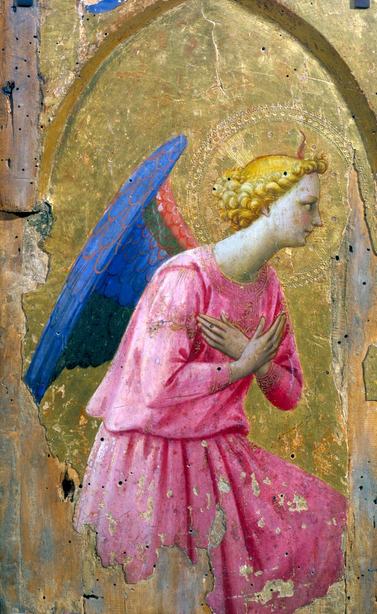 Anděl v adoraci, polovina 15. století od Studio of Fra Angelico