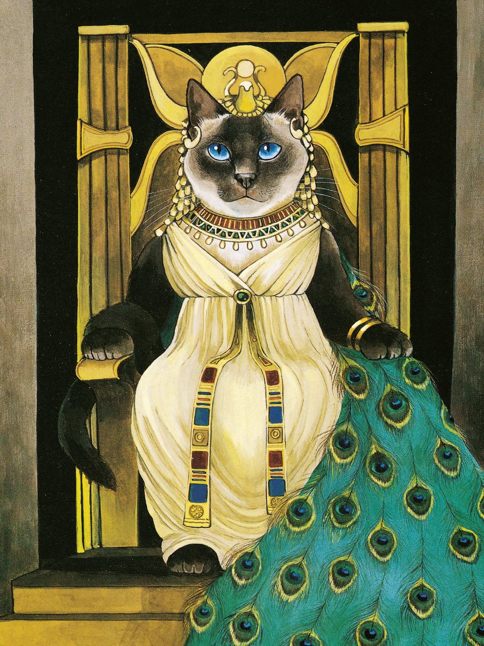 Ilustrace z knihy Shakespeare Cats: (vyd. 2016) od Susan Herbert