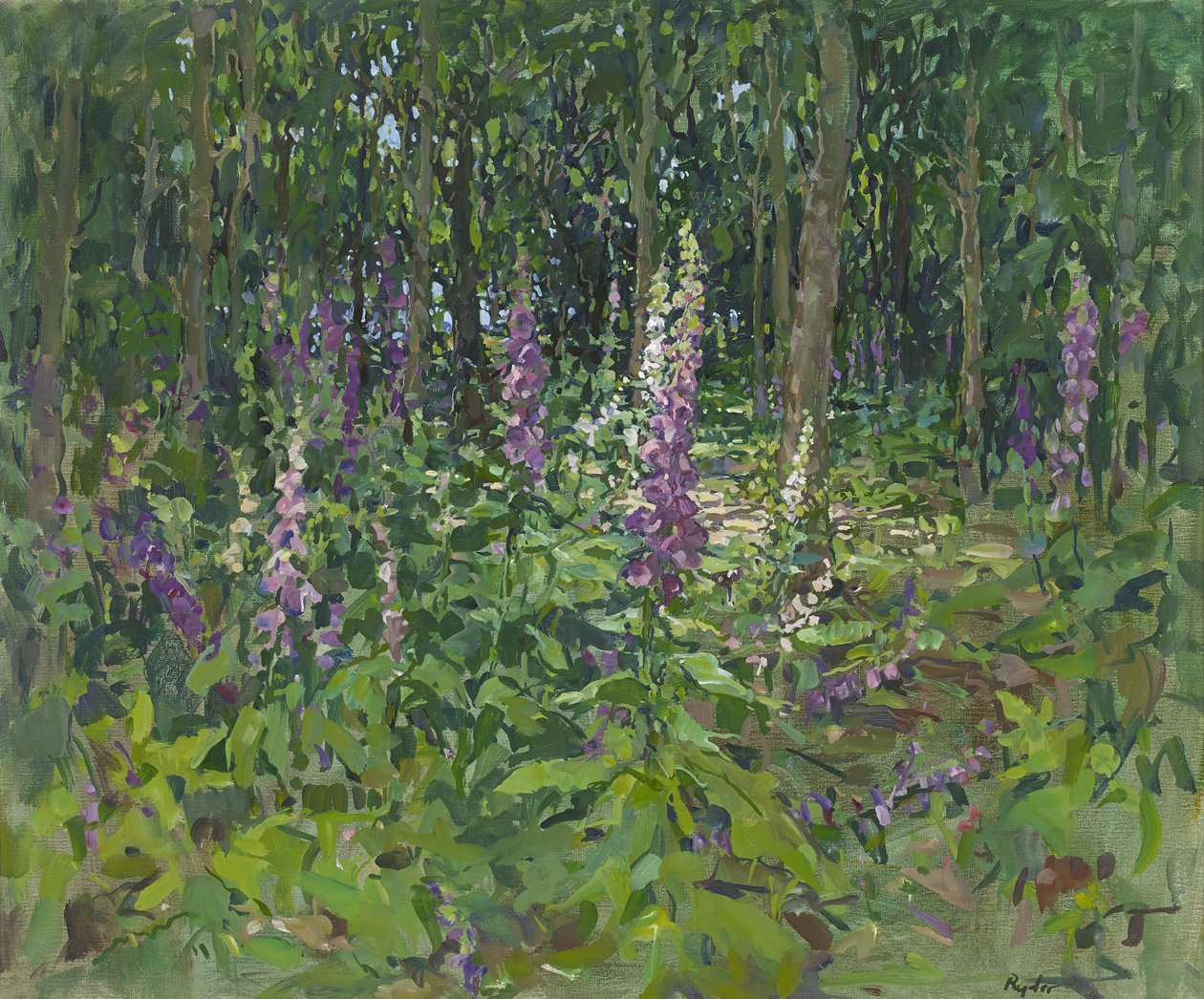 Foxgloves od Susan Ryder