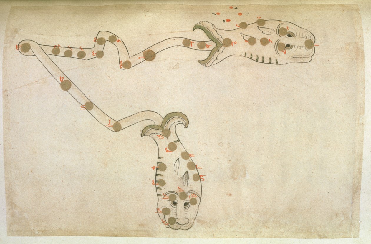 Reprezentace zvěrokruhu: Ryby, ryby, 1497-1498 (903 Hidžra) od Suvar Al Kavakib