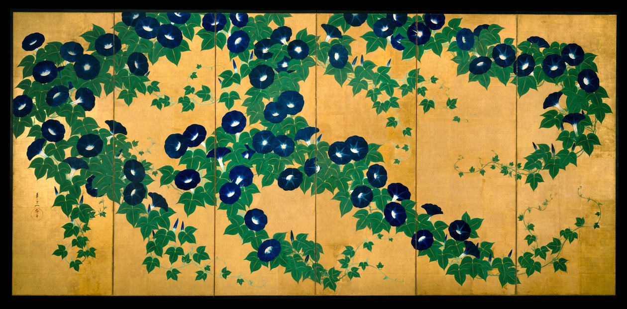 Morning Glories, počátek 19. století (inkoust, barva a list zlata na papíře) od Suzuki Kiitsu