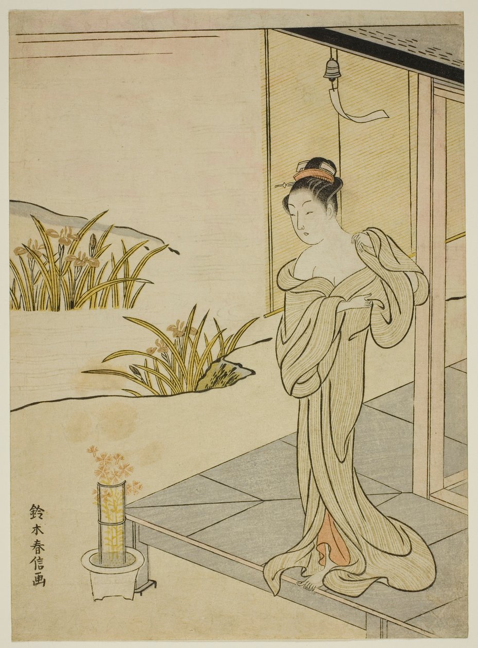 Léto, ze série "Nové verze květin čtyř ročních období (Shinpan furyu shiki no hana)" od Suzuki Harunobu
