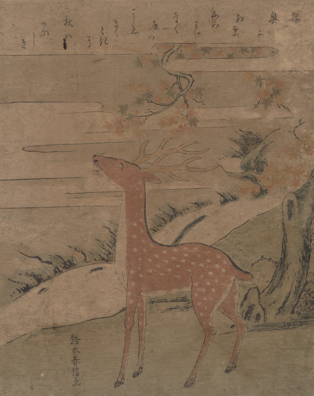 The Cry of the Stag, ca. 1760, ca. 1760. od Suzuki Harunobu