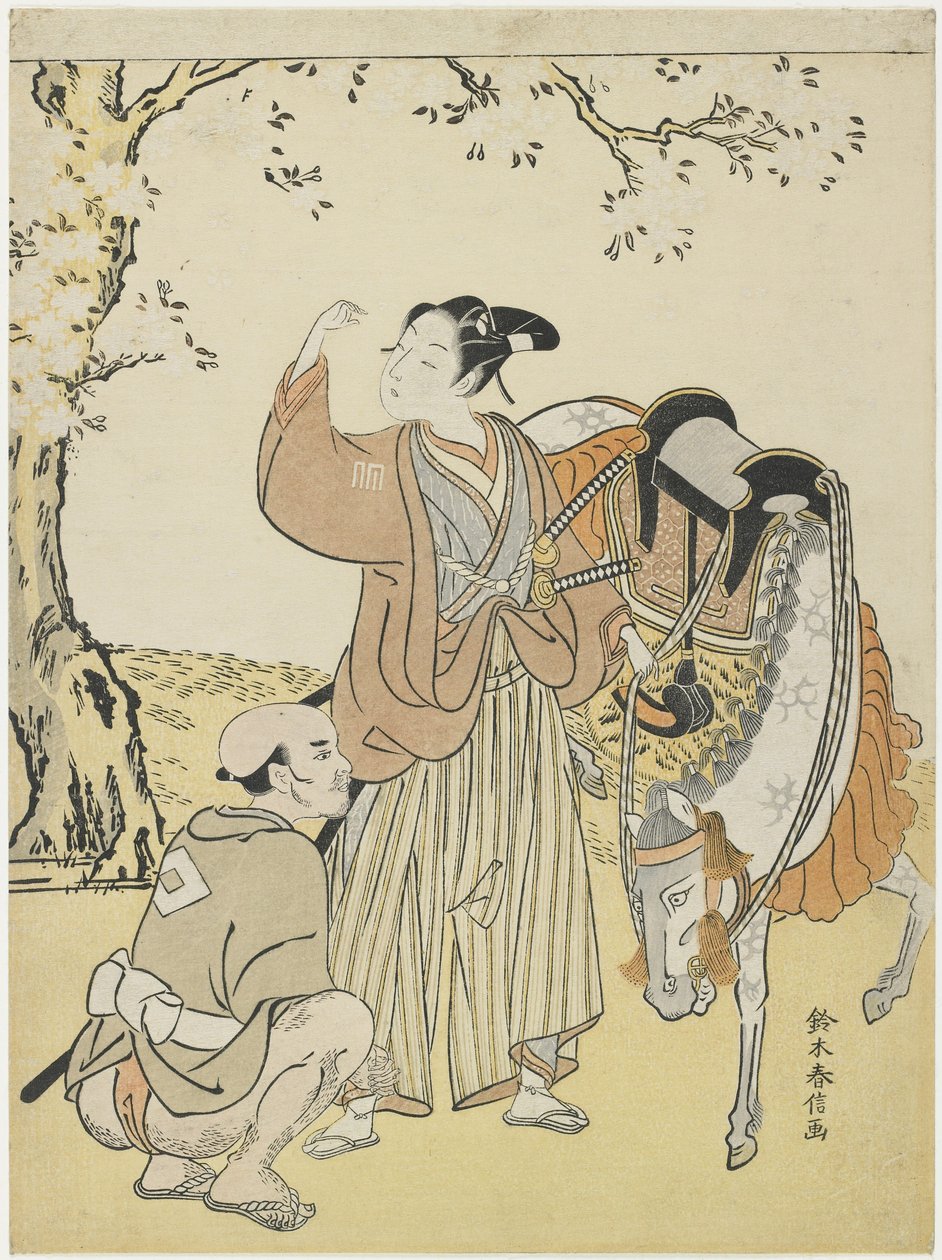 Mladý samuraj si prohlíží třešňové květy jako Mitate prince Kaoru, c. 1767 od Suzuki Harunobu