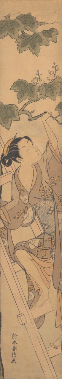 Mladá žena lezení po žebříku, ca. 1768, ca. 1768. od Suzuki Harunobu