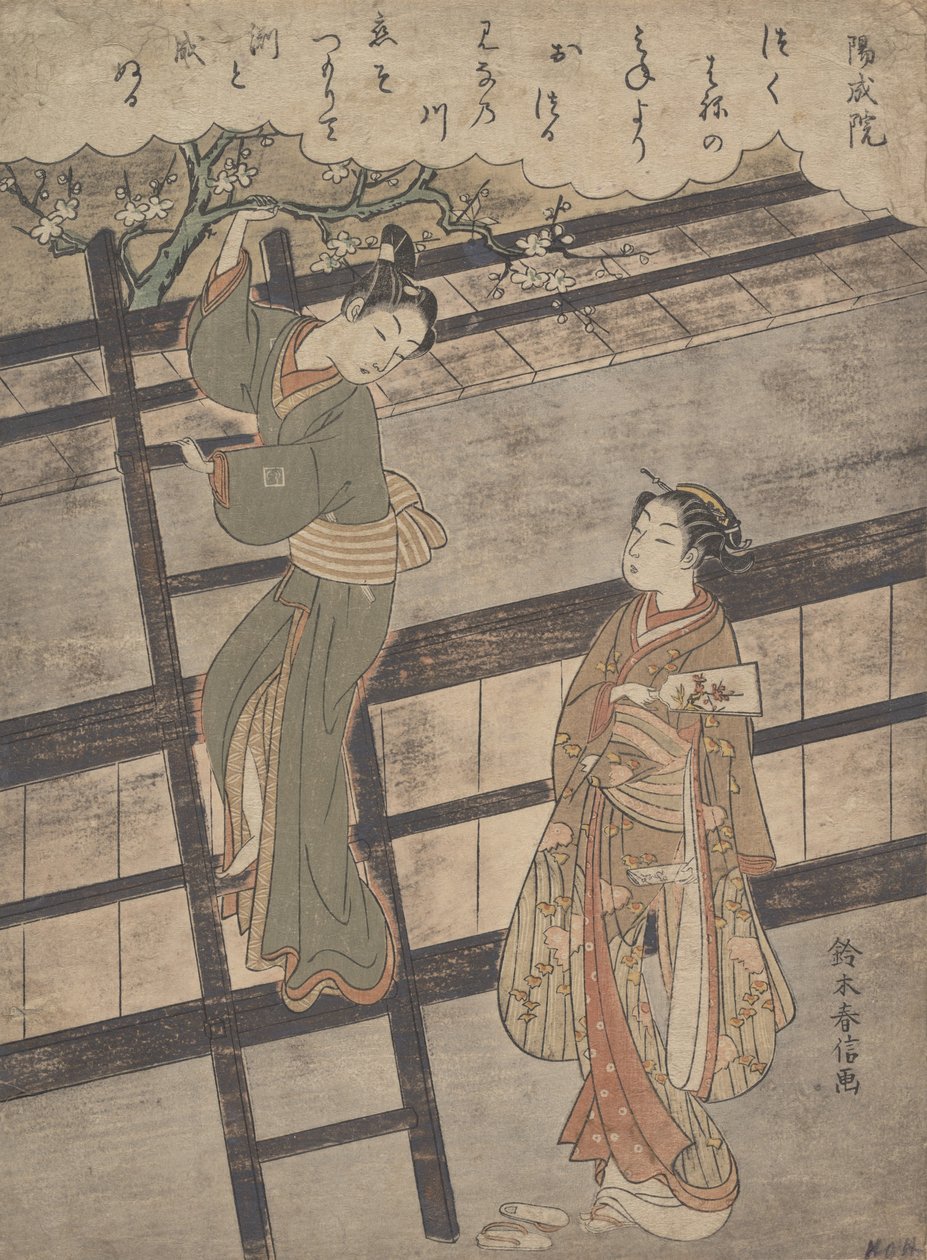 Člen noční daně? 1766. , komár. 1766. od Suzuki Harunobu