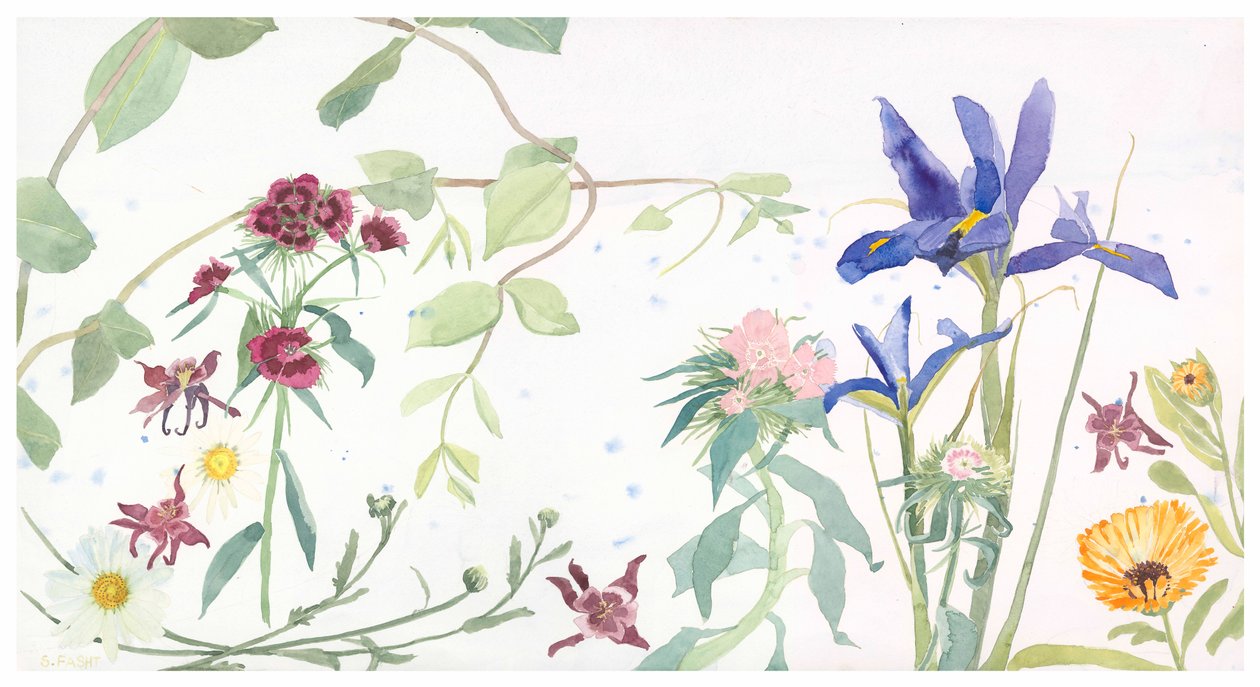 Iris a Sweet Williams, 2020 (akvarel na papíře) od Suzy Fasht