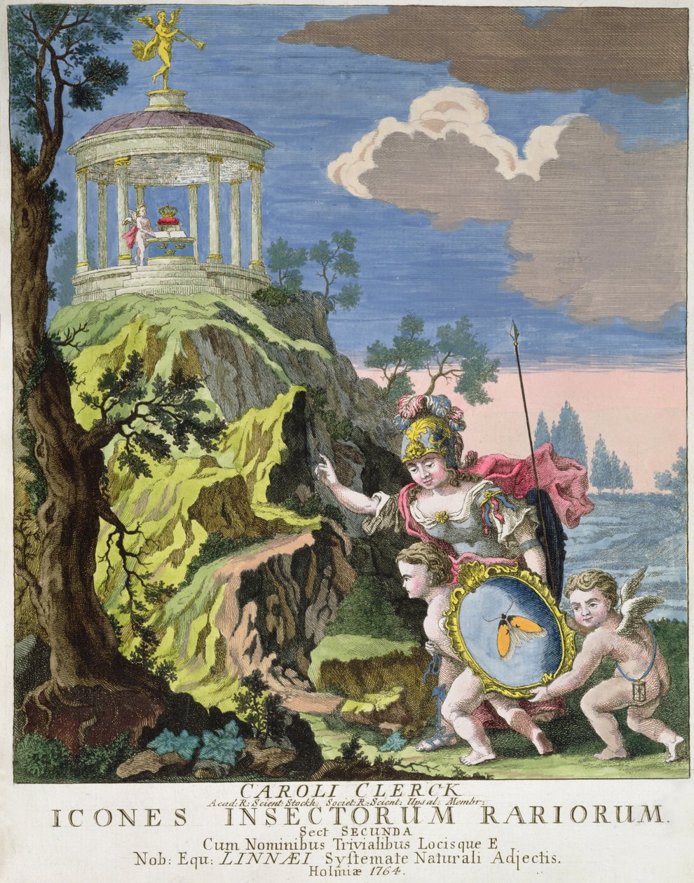 Frontispiece of Icons Insects Rariorum od C. Clercka, Švédsko, 1764 od Swedish School