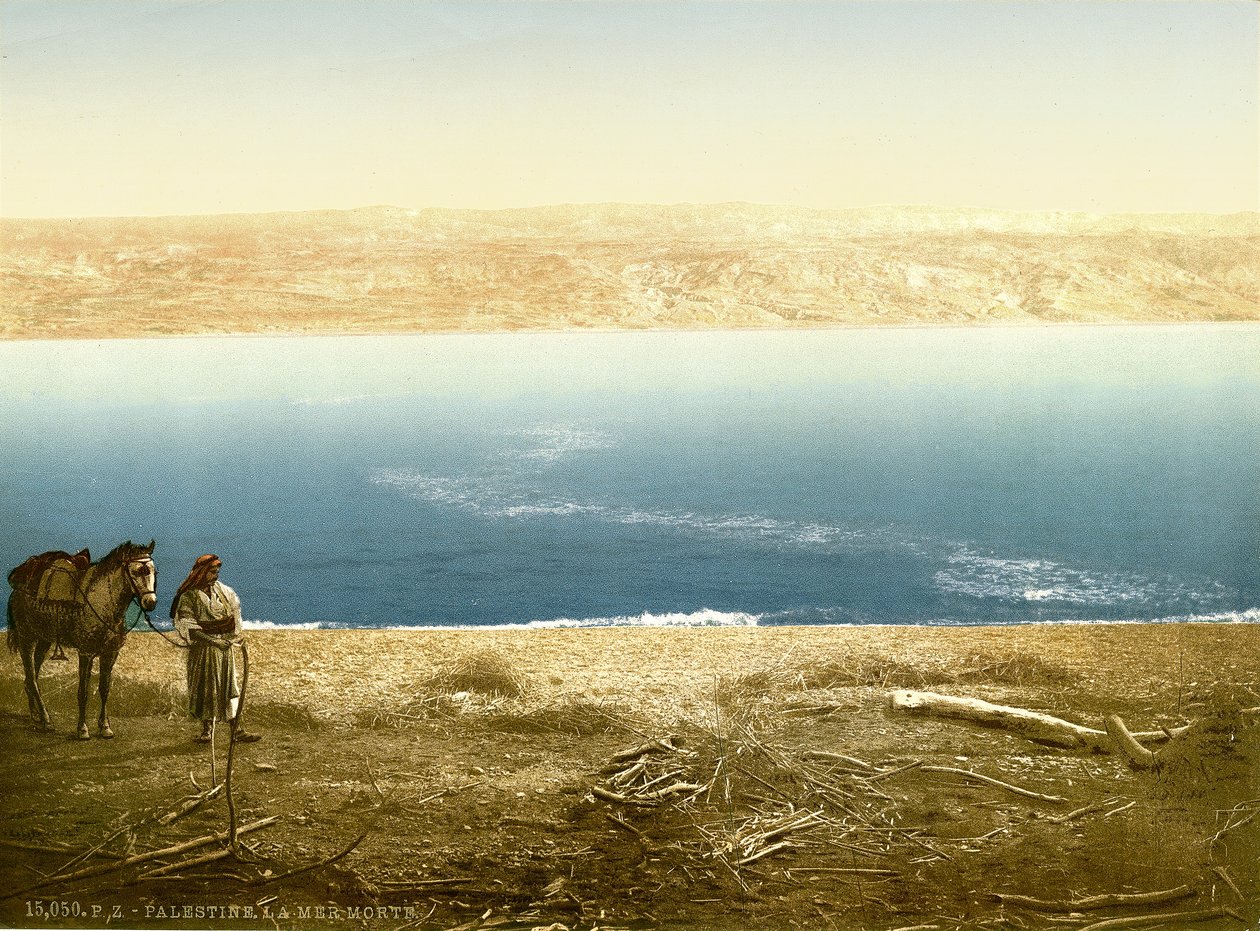 Pohled na Mrtvé moře při pohledu na východ směrem k Moabu, cca 1880-1900 (fotochrom) od Swiss Photographer