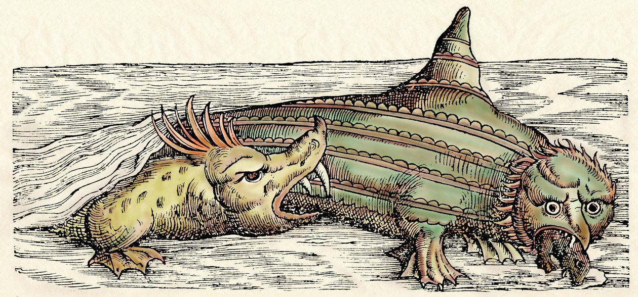 Mořští tvorové, ilustrace z knihy "Historiae Animalium", Conrad Gesner od Swiss School