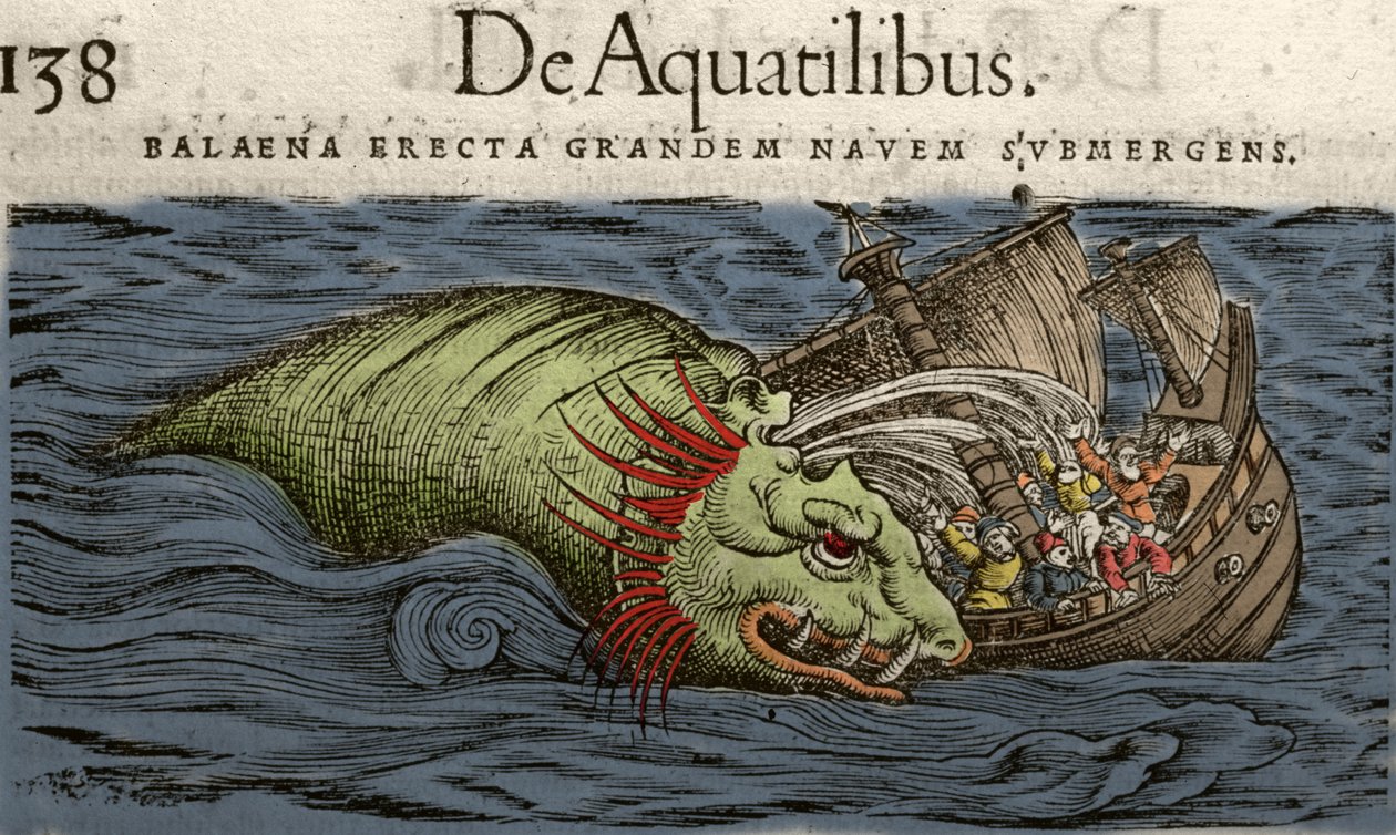 Mořská příšera útočící na loď, ilustrace z „Historie zvířat“ od Conrada Gesnera od Swiss School