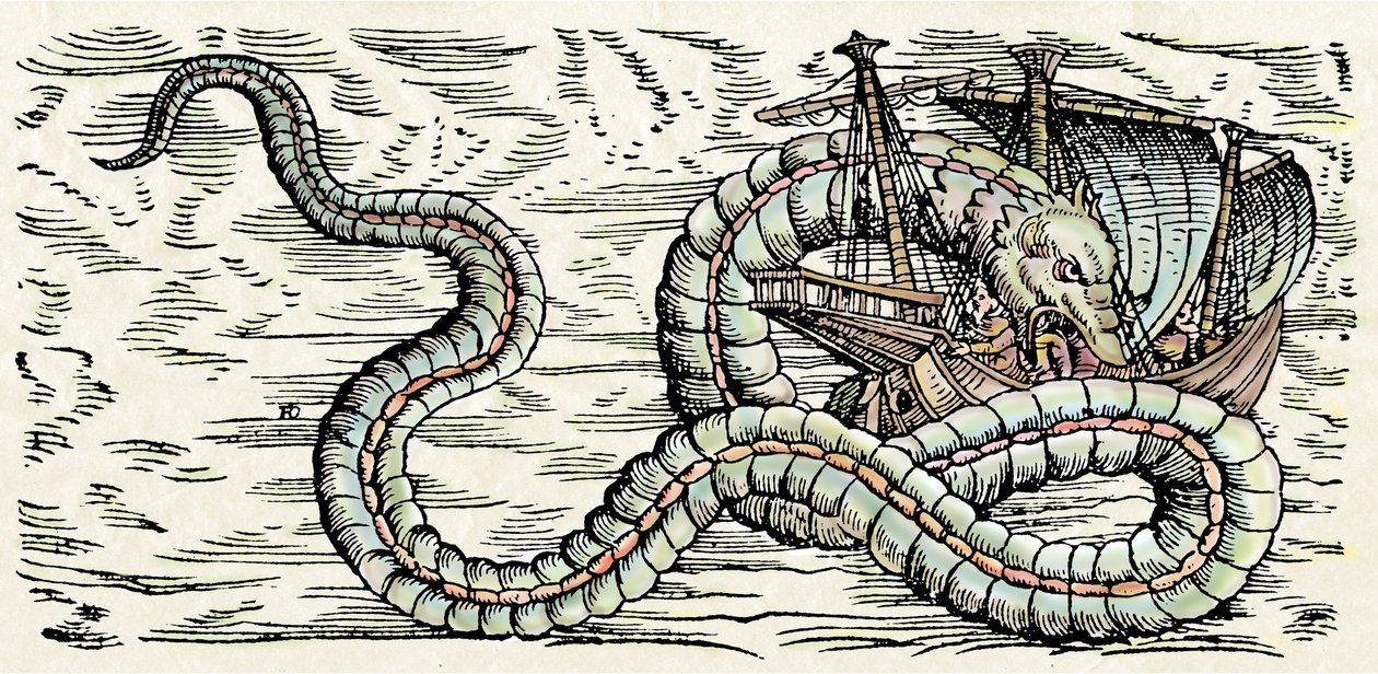 Mořská příšera, ilustrace z knihy "Historiae Animalium", Conrad Gesner od Swiss School