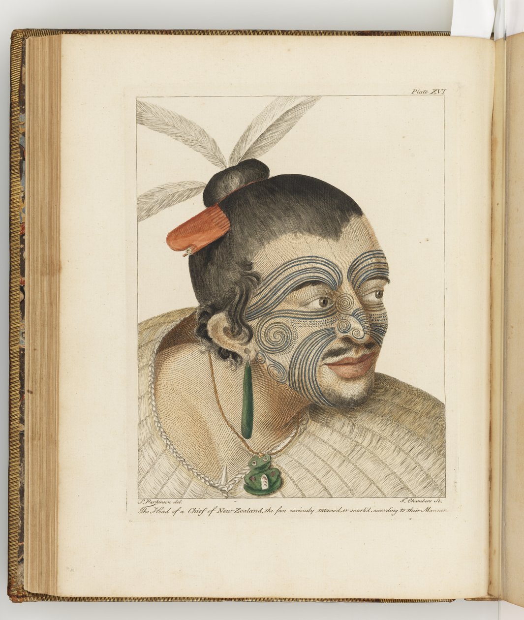 Ilustrace z "Deník o plavbě do jižních moří: na lodi Jeho Veličenstva, Endeavour", 1794 od Sydney Parkinson