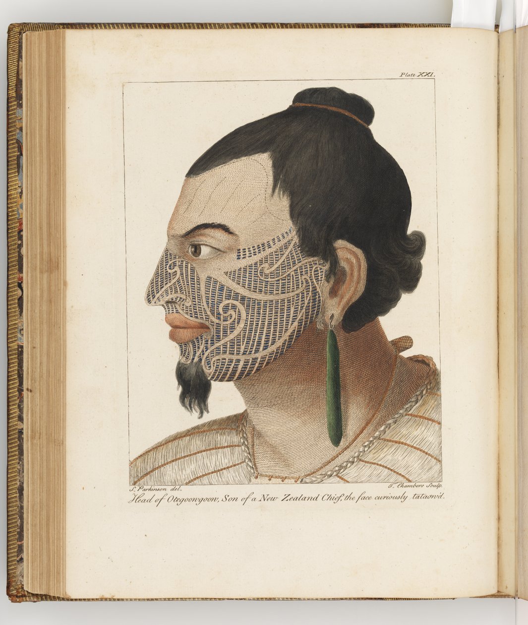 Head of Otegoongoon, ilustrace z deníku o plavbě do jižních moří: na lodi Jeho Veličenstva, Endeavour, 1794 (ručně kolorovaná rytina) od Sydney