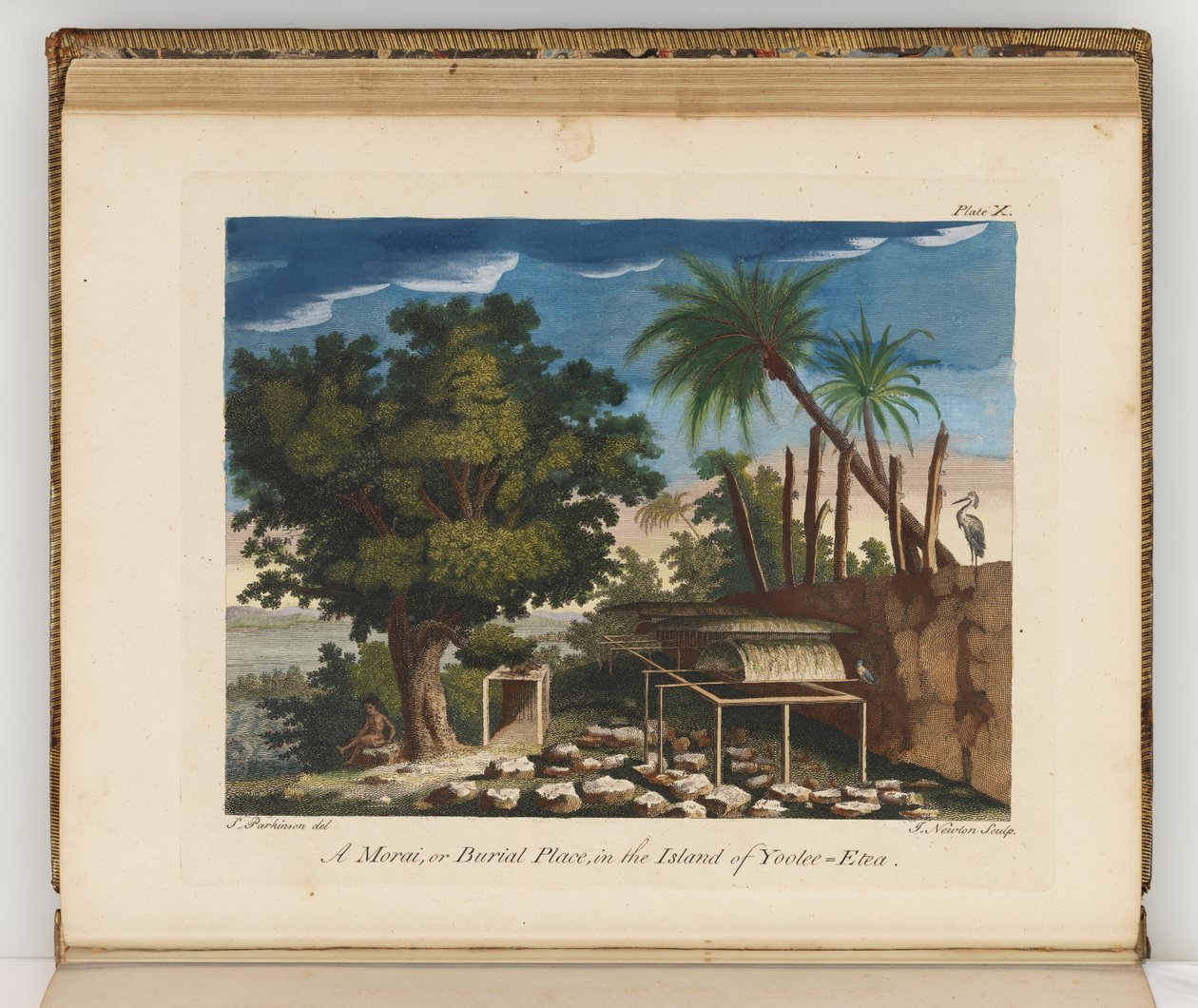 Ilustrace z deníku plavby do jižních moří: na lodi Jeho Veličenstva, Endeavour, 1794 (ručně kolorovaná rytina) od Sydney