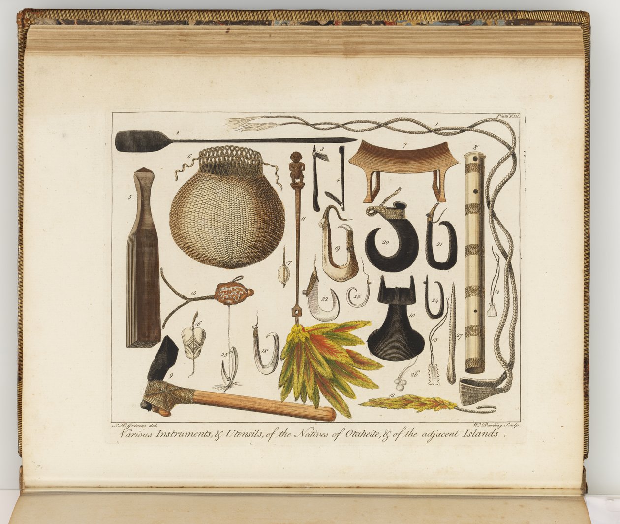 Ilustrace z deníku plavby do jižních moří: na lodi Jeho Veličenstva, Endeavour, 1794 (ručně kolorovaná rytina) od Sydney