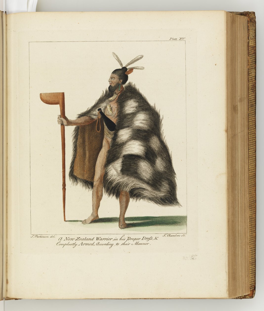 Ilustrace z deníku plavby do jižních moří: na lodi Jeho Veličenstva, Endeavour, 1794 (ručně kolorovaná rytina) od Sydney
