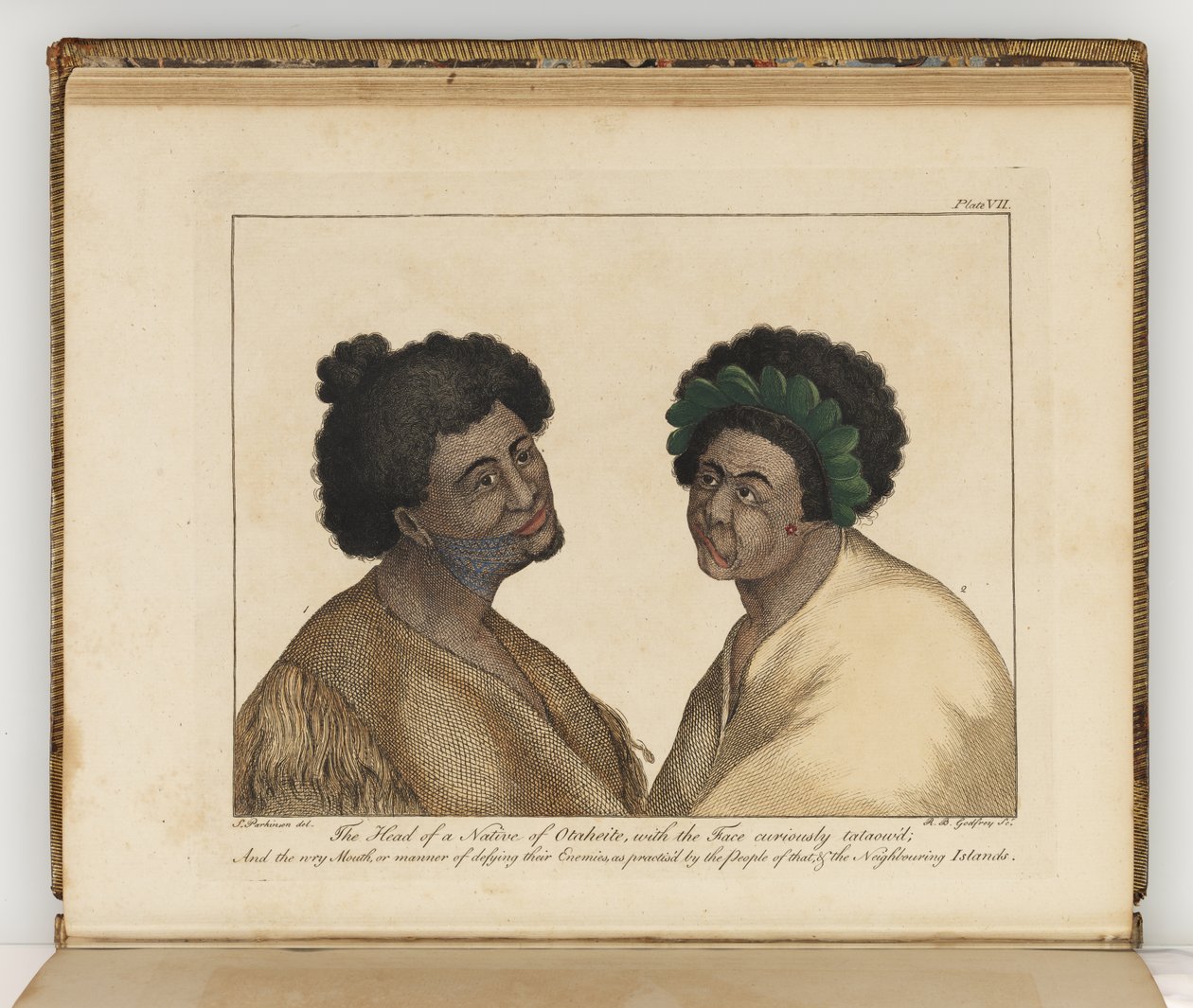 Hlava rodáka z Otaheite, ilustrace z deníku o plavbě do jižních moří: na lodi Jeho Veličenstva, Endeavour, 1794 (ručně kolorovaná rytina) od Sydney