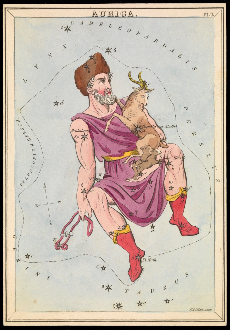 Auriga, asi 1825 (karta, papír, hedvábí ) od Sydney Hall