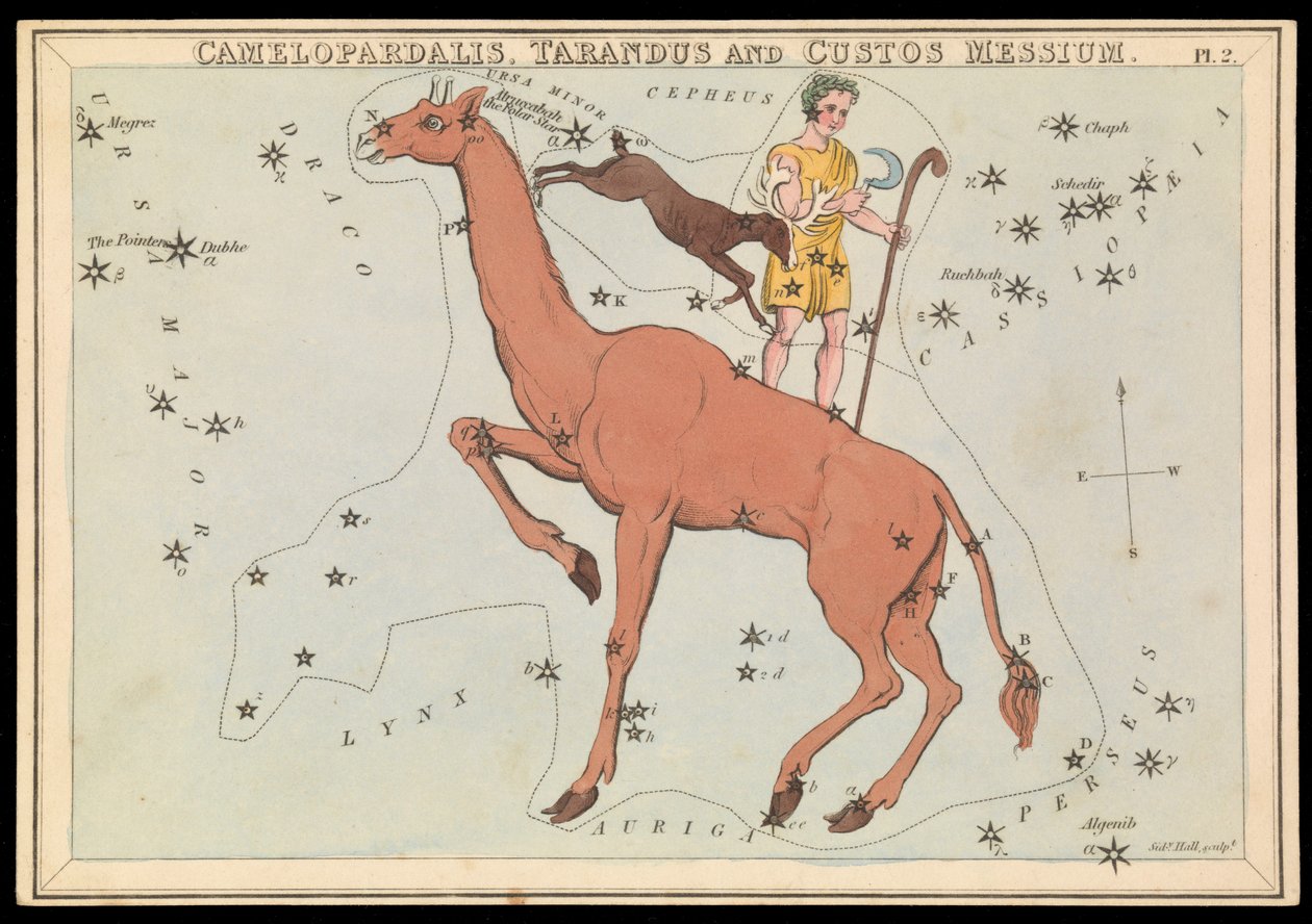 Camelopadalis, Tarandus a Custos Messium, asi 1825 (karta, papír, hedvábí ) od Sydney Hall