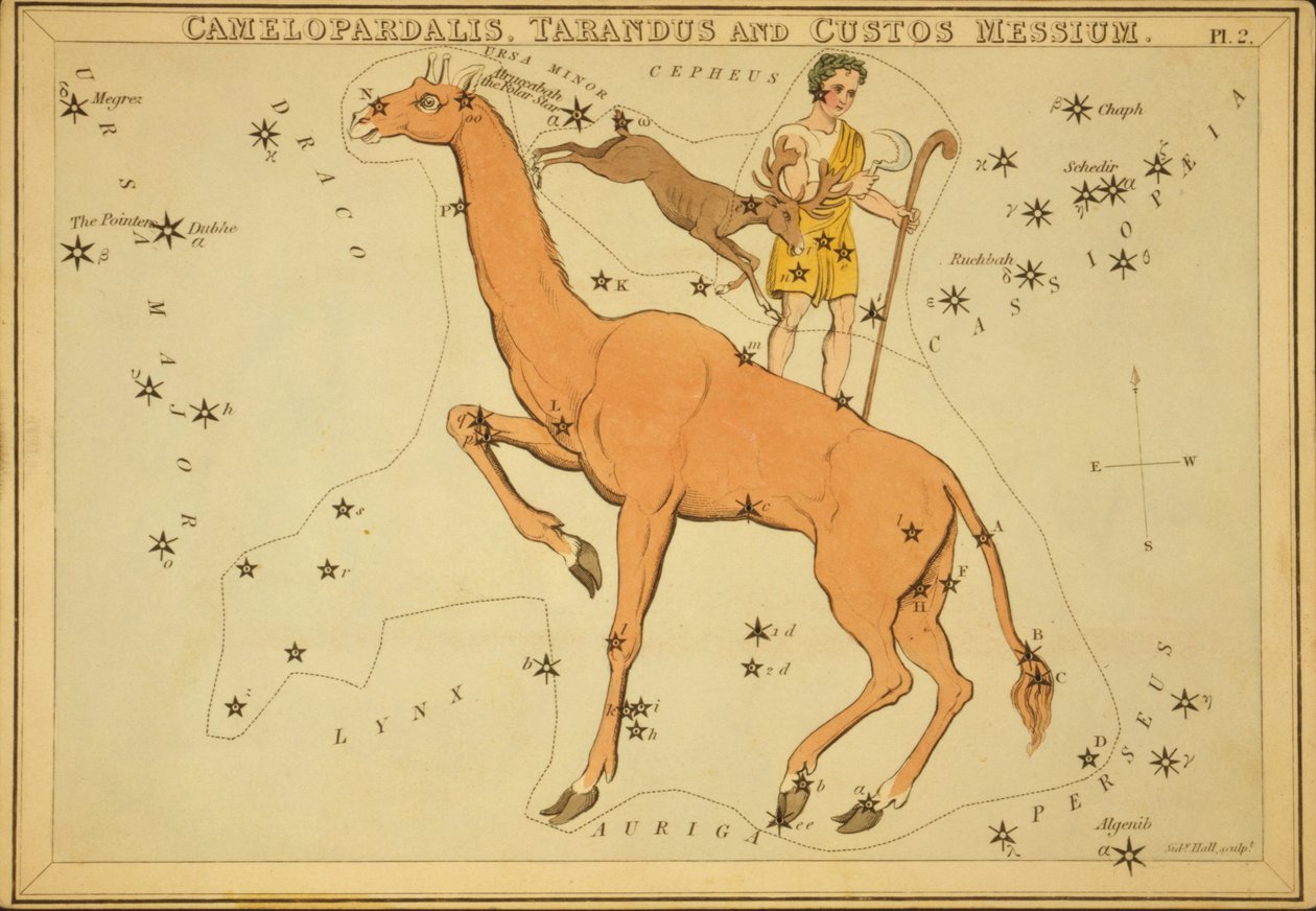 Camelopardalis, Tarandus a Custos Messium, ilustrace z 