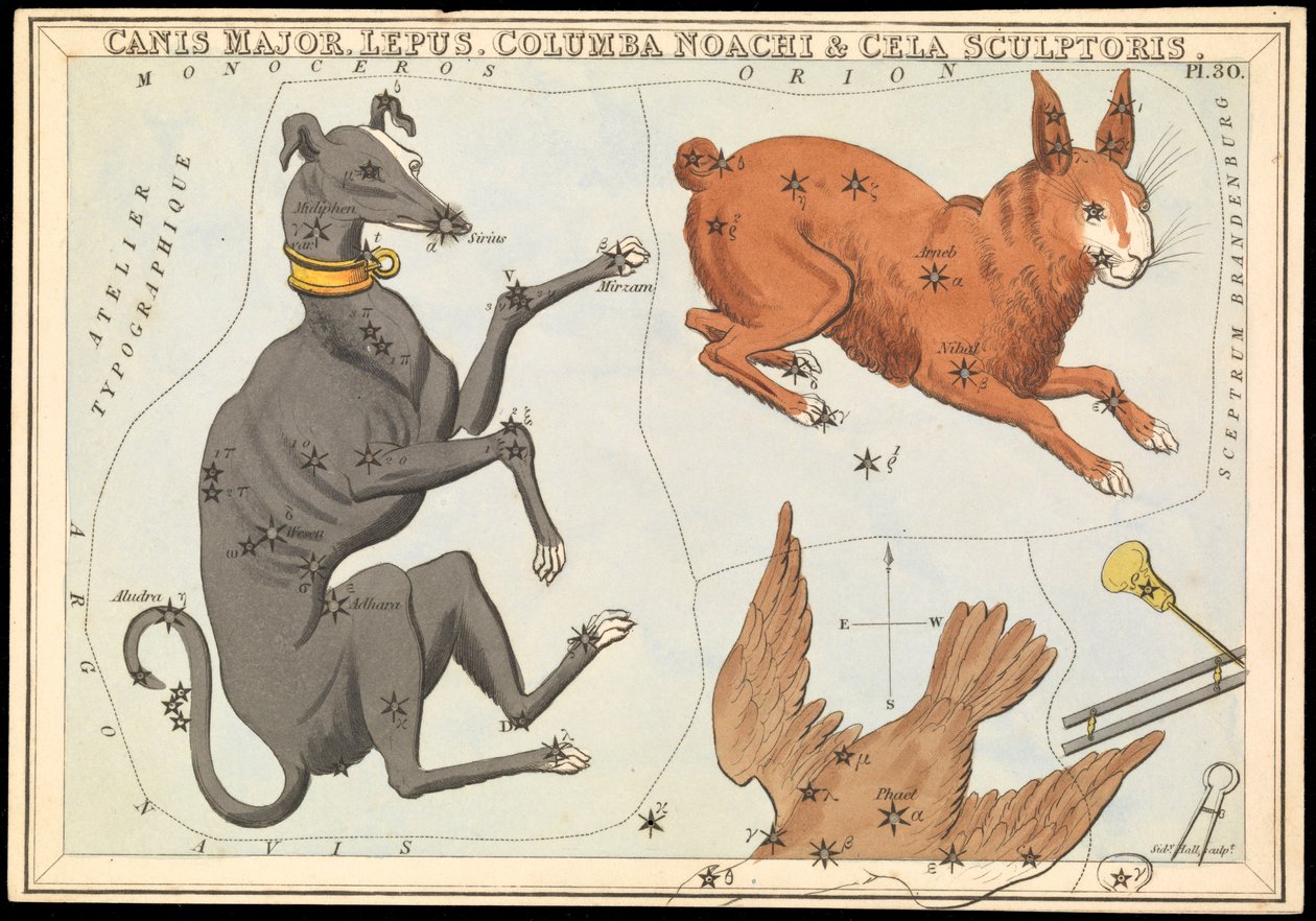 Canis Major. Lepus, Columba Noachi  Cela Sculptoris, asi 1825 (karta, papír, tkanivo ) od Sydney Hall