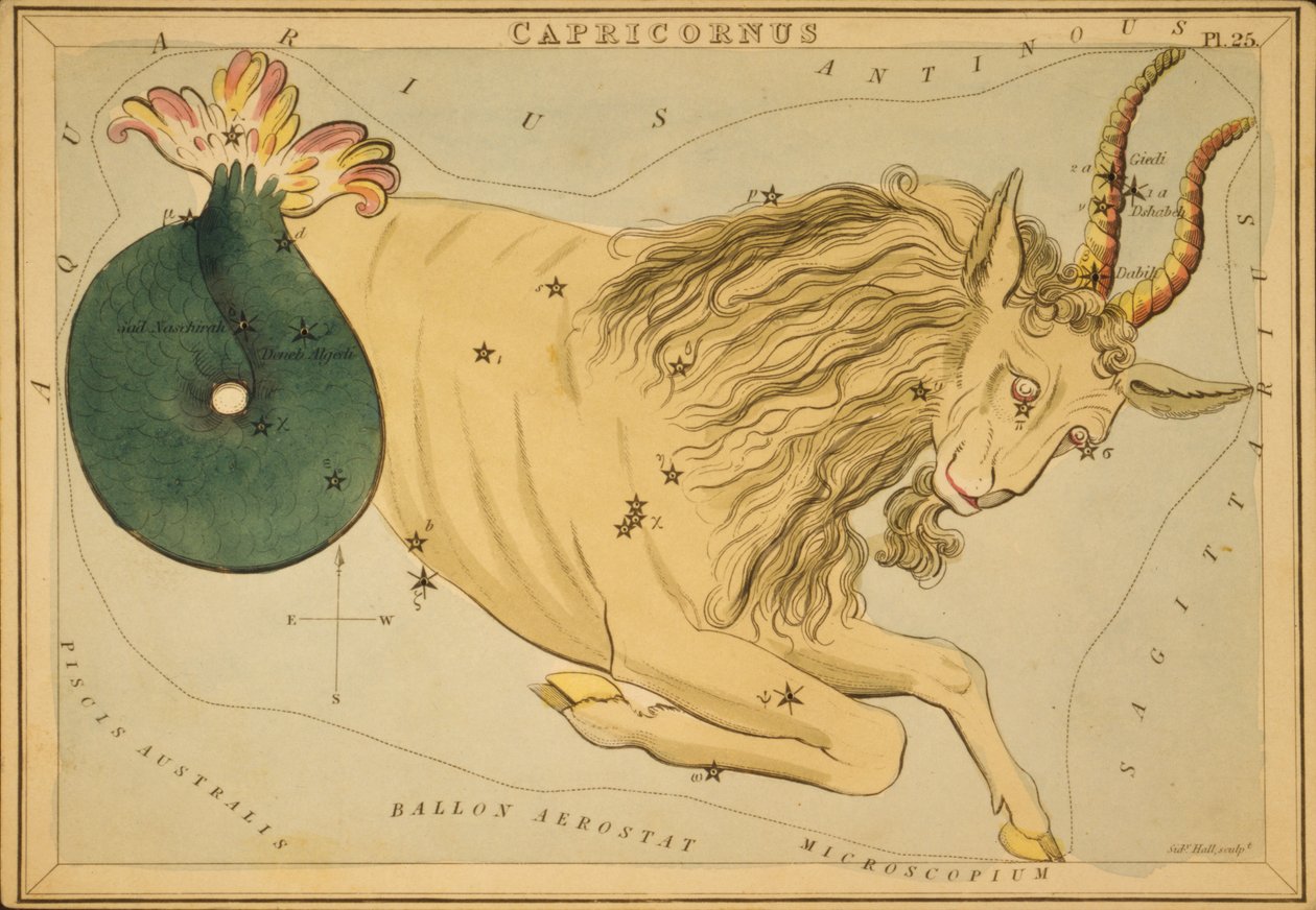 Capricornus, ilustrace z 