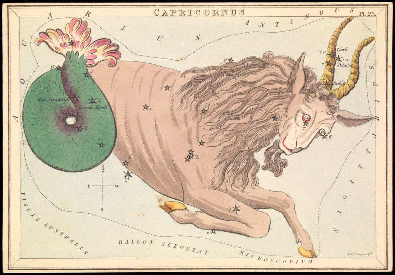 Capricornus, asi 1825 (karta, papír, hedvábí ) od Sydney Hall