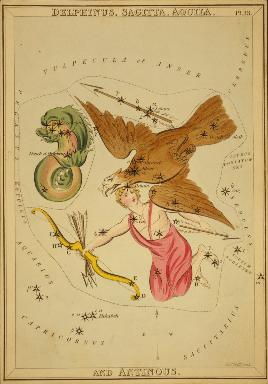 Delphinus, Sagitta, Aquila a Antinous, ilustrace z 