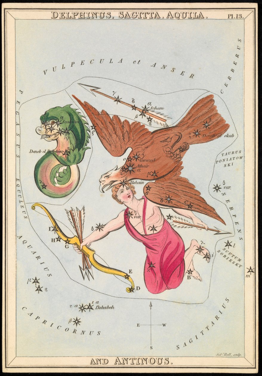 Delphinus, Sagitta, Aquila a Antinous, asi 1825 (karta, papír, tkanivo) od Sydney Hall