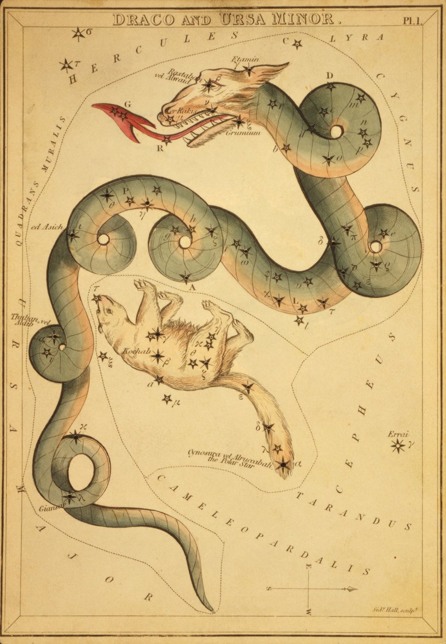 Draco a Ursa Minor, ilustrace z 