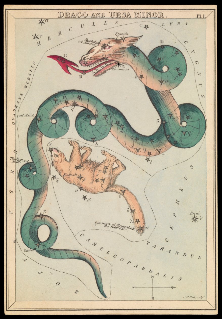 Draco a Ursa Minor, asi 1825 (karta, papír, hedvábí ) od Sydney Hall