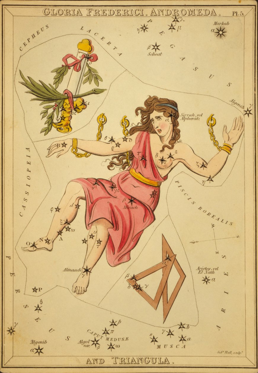 Gloria Frederici, Andromeda a trojúhelník, ilustrace z 