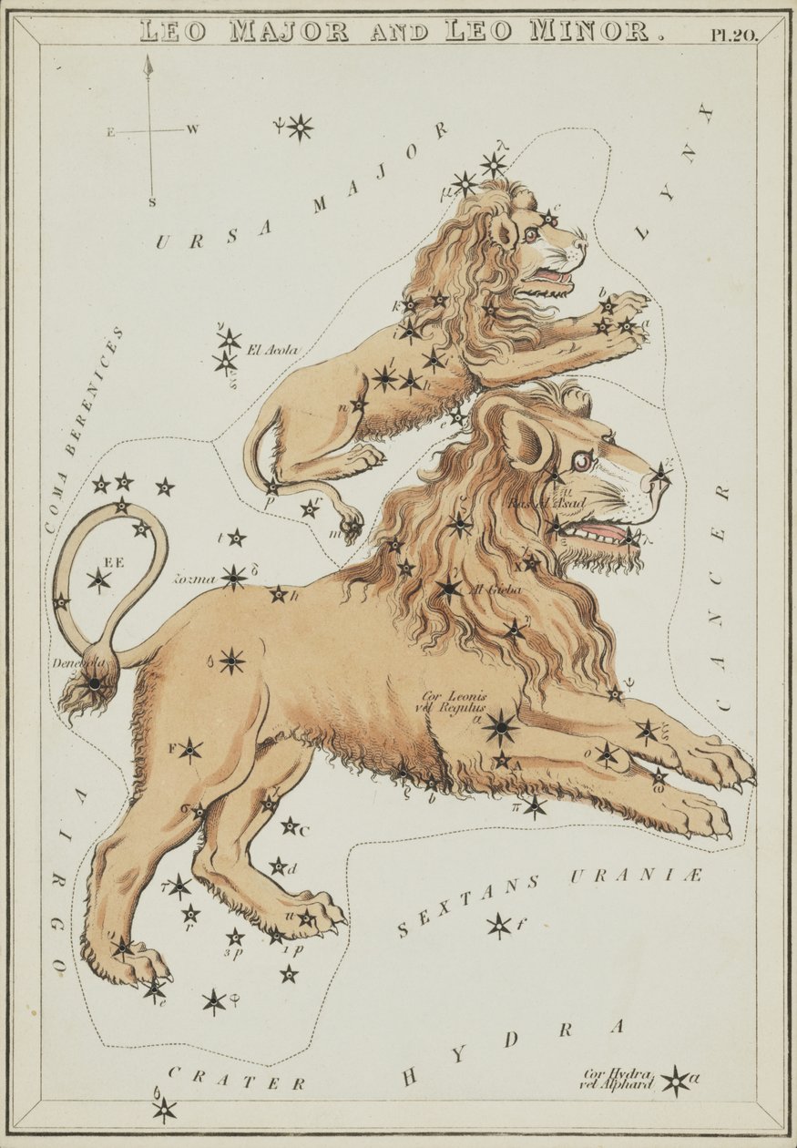 Leo Major a Leo Minor, ilustrace z 