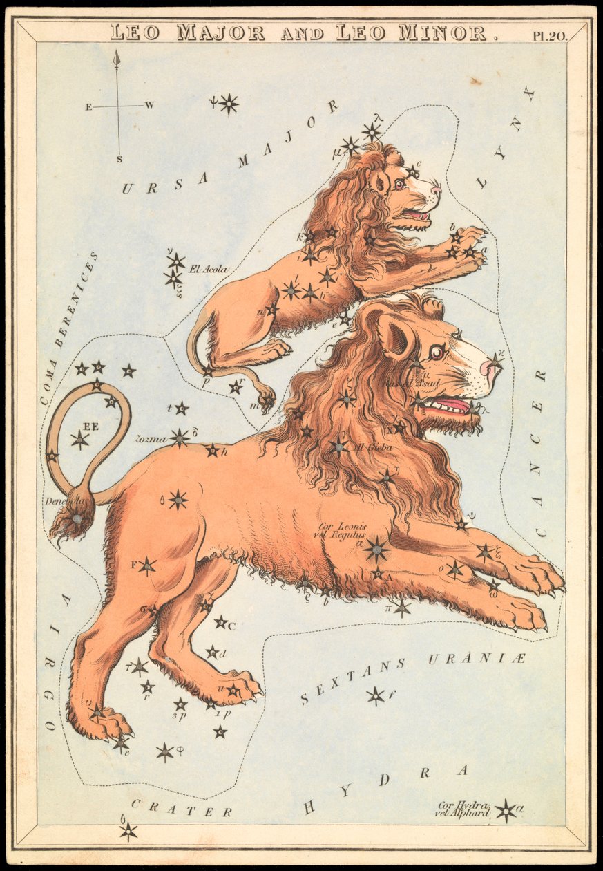 Leo Major a Leo Minor, asi 1825 (karta, papír, hedvábí ) od Sydney Hall