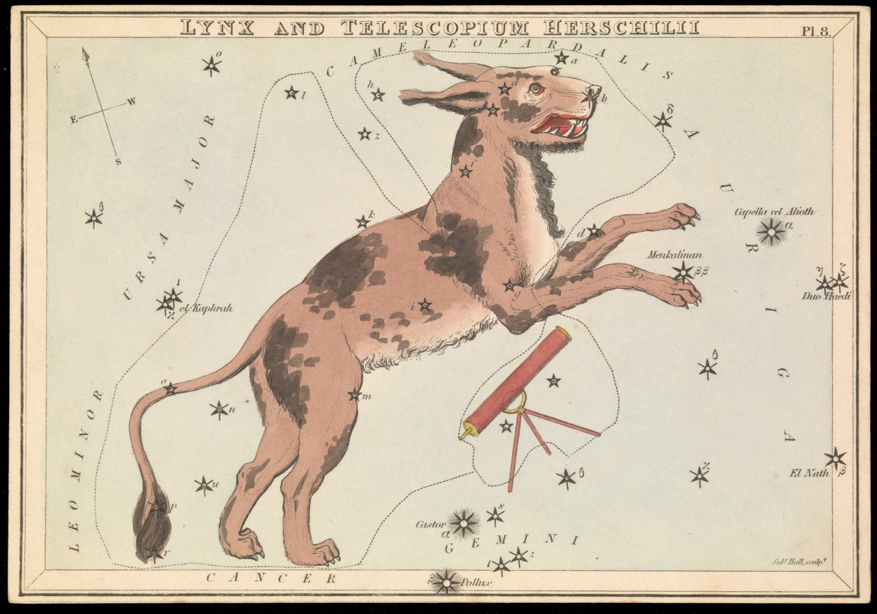 Rys a Telescopium Hereschilii, asi 1825 (karta, papír, tkanivo ) od Sydney Hall