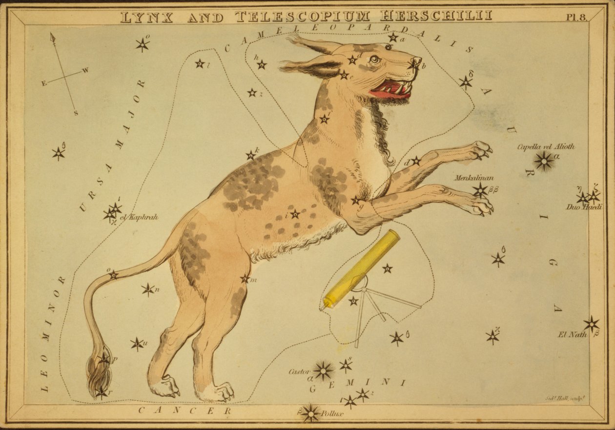 Lynx a Telescopium Herschilii, ilustrace z 