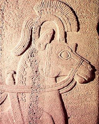 Detail koňské hlavy od Syrian Syrian