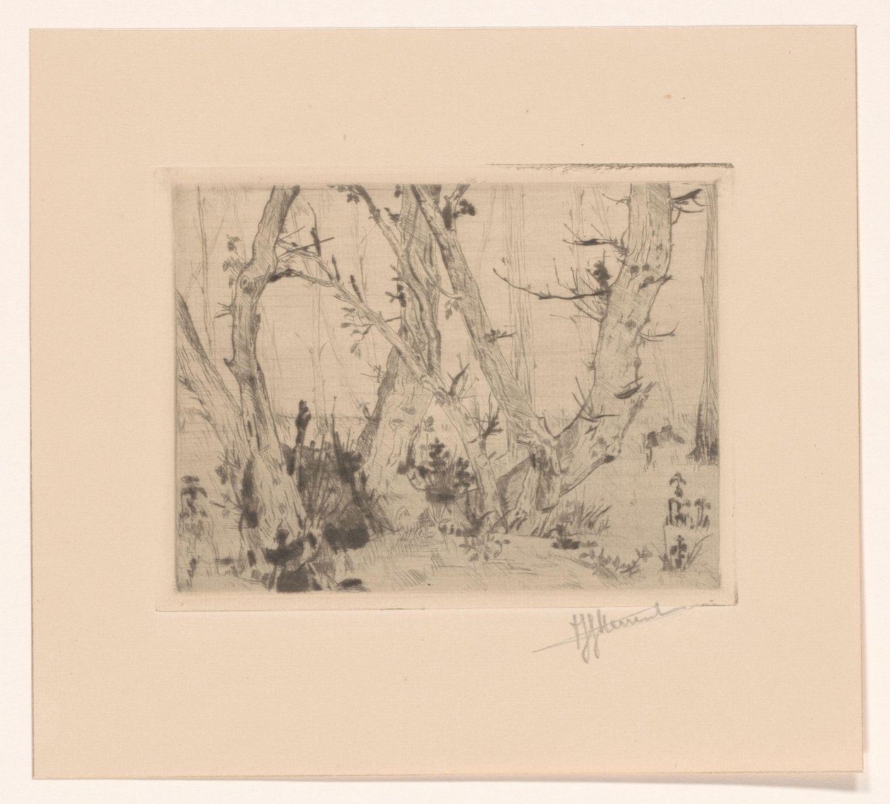 výhled na les od T. Sterrenburg (signed by artist)