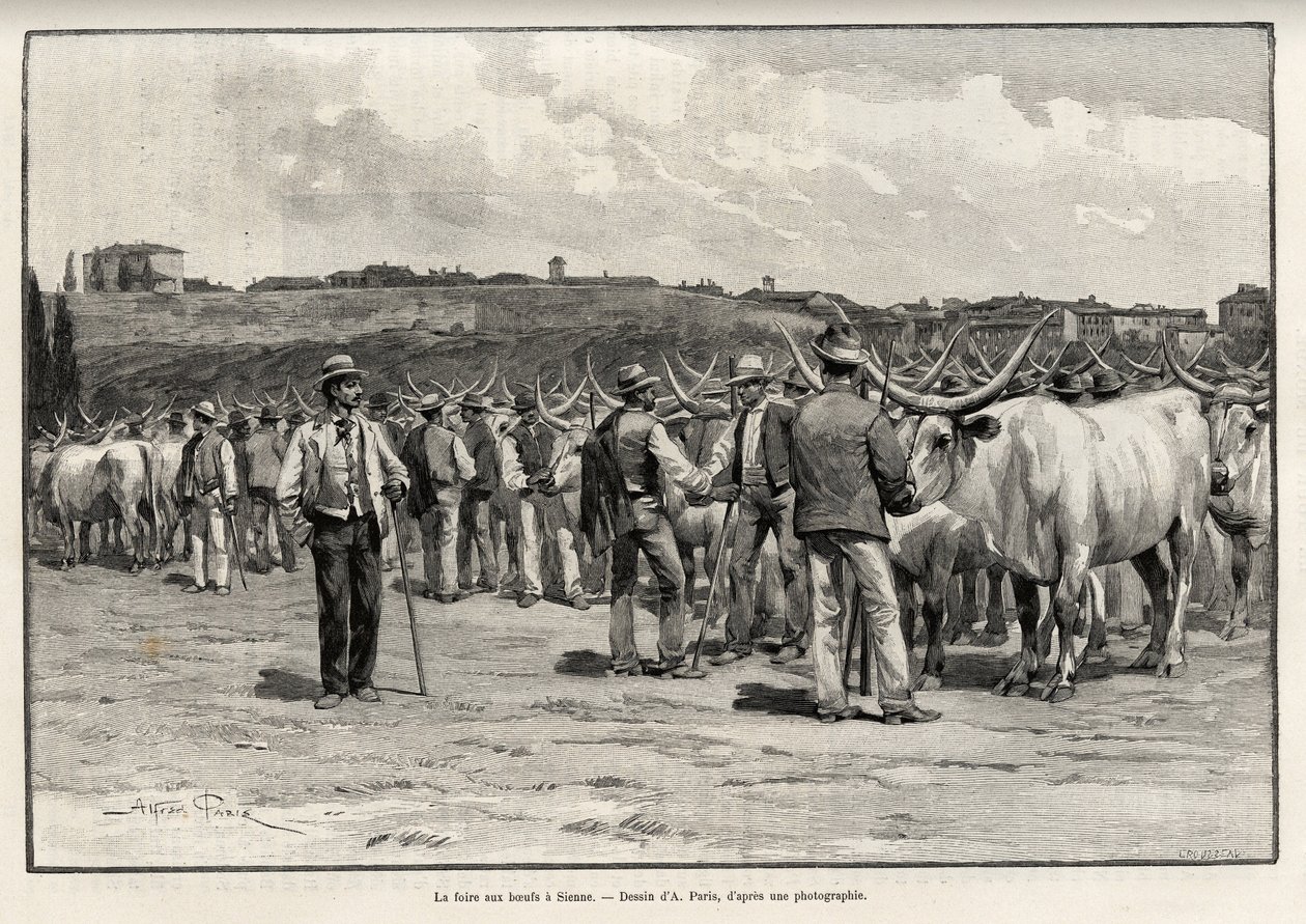 Veletrh hovězího v Sieně (Itálie). Rytina od Taylora k ilustraci příběhu „A travers la Tuscane““ od Eugena Muntze (1845-1902), v Le tour du Monde 1892, režie Edouard Charton (1807-1891), Hachette, Paříž. od T Taylor