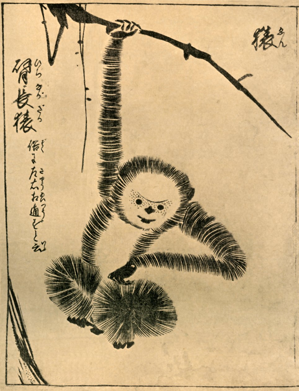 Opice, 1720, 1924. od Tachibana Morikuni