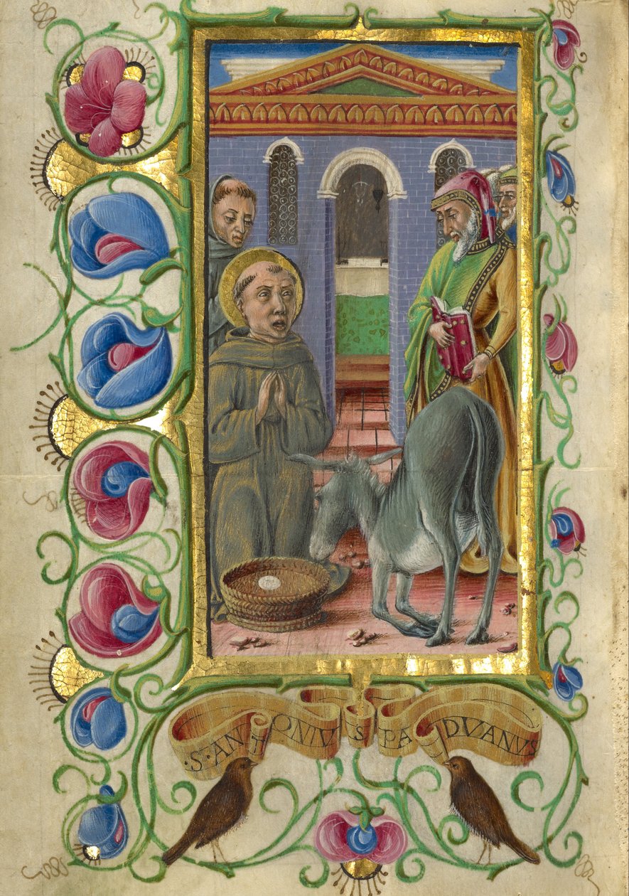 Sir Anthony of Padua od Taddeo Crivelli