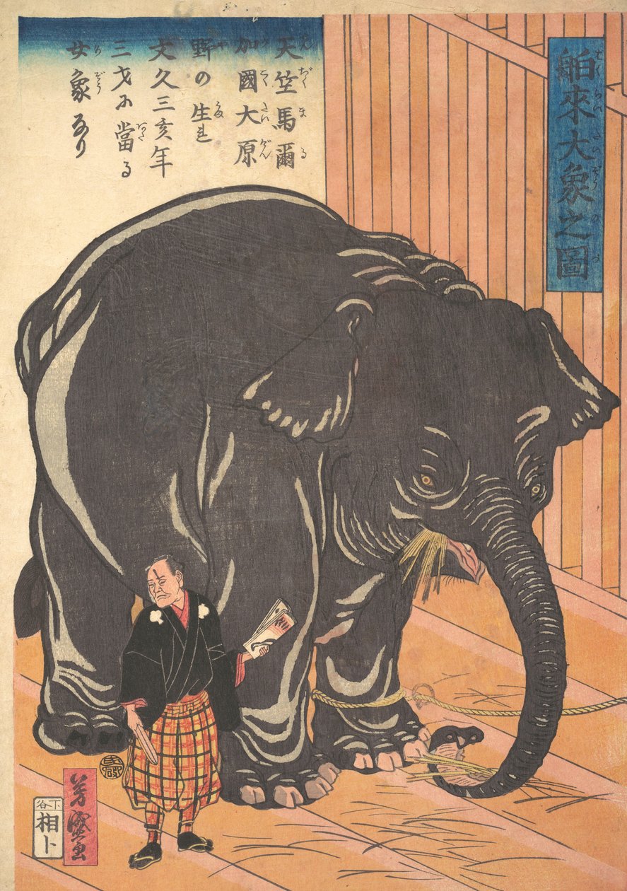Pohled na velkého importovaného slona, 1863 Bunkyo 3, 4. měsíc. od Taguchi Yoshimori
