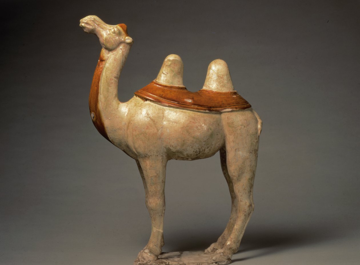 Keramický model stojícího velblouda, Číňan, dynastie Tang, 618-906 (keramika) od Tang Dynasty Chinese School