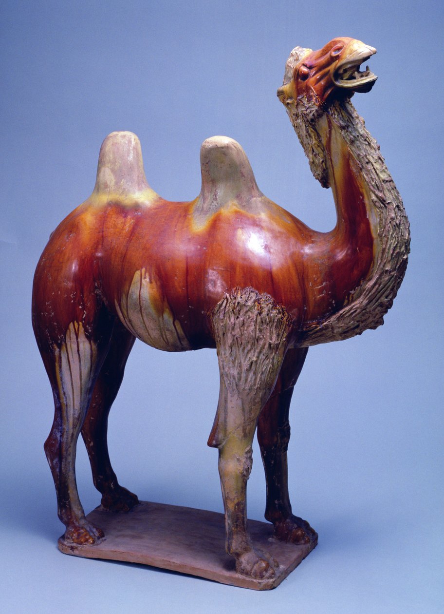 Velbloud, dynastie Tchang (polychromovaná glazovaná keramika) od Tang Dynasty Chinese School
