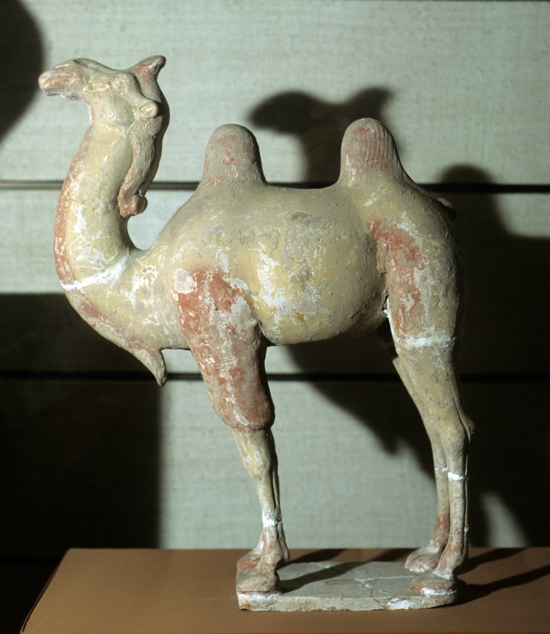 Barevný velbloud, pohřební objekt, 618-907 (terakota) od Tang Dynasty Chinese School