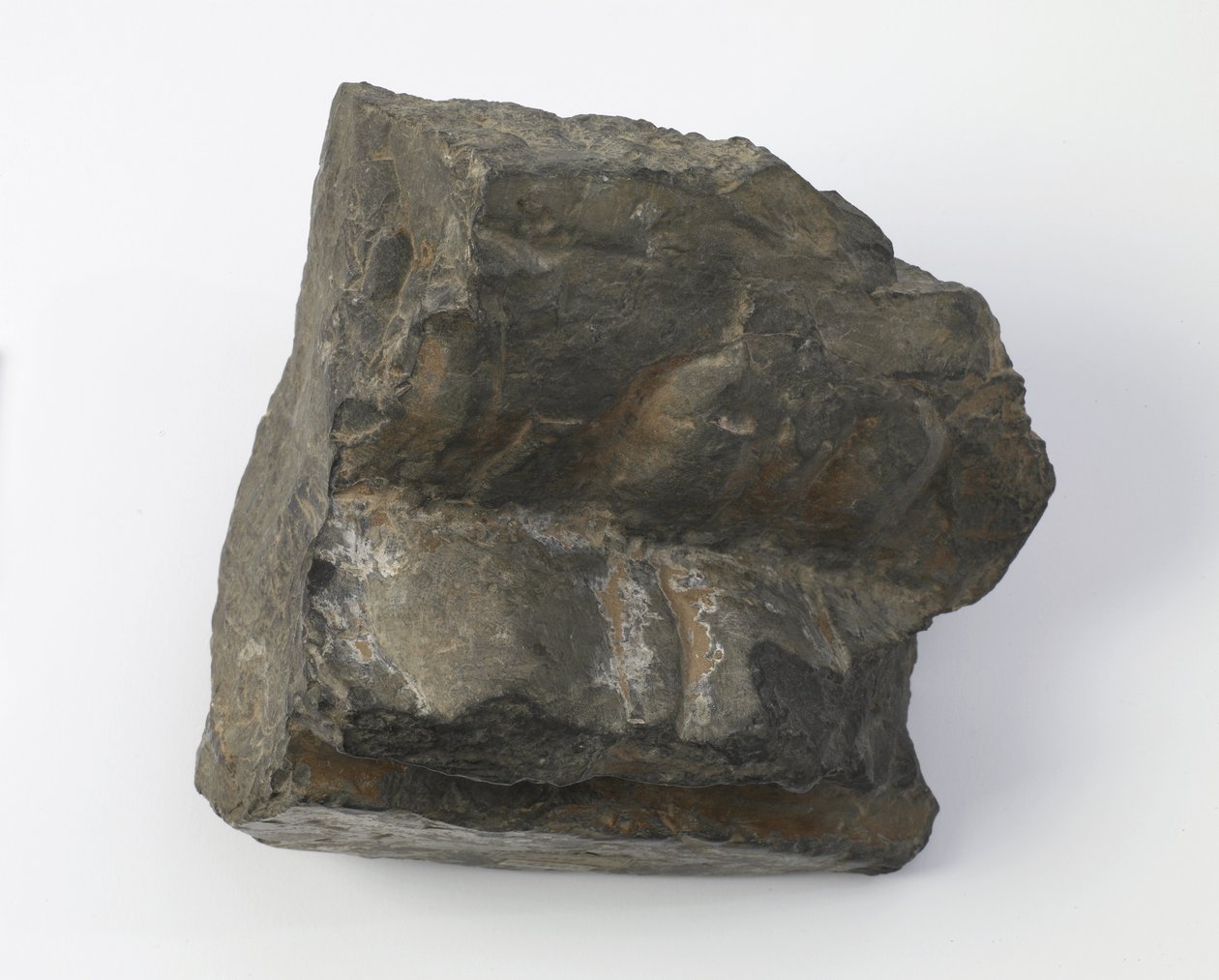 Fragment lotosového podstavce od Tang Dynasty Chinese School